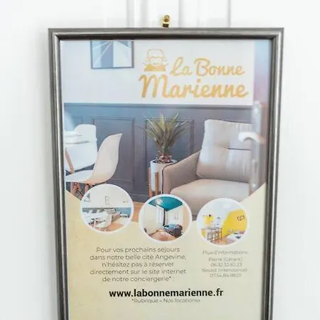 Immeuble L'aristocrate - Le Nuage - Bd Carnot Angers